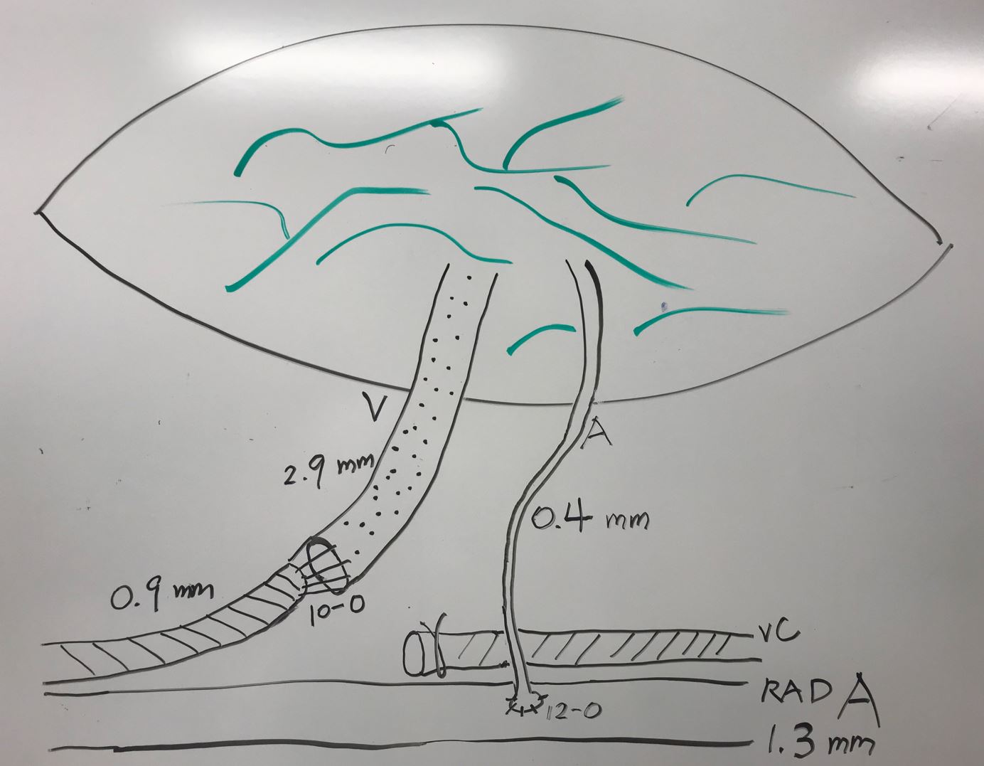 Figure 8.JPG